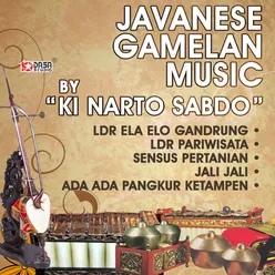 Javanese Gamelan Musik