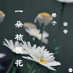 一朵桔梗花