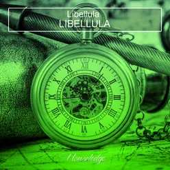 Libellula-Jonny Stecchino Full Metal Jackin Mix