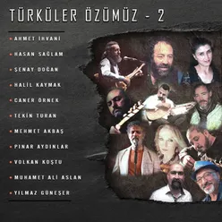 Demiri Toz Ederler