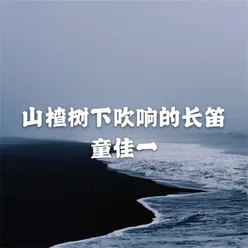 山楂树下吹响的长笛