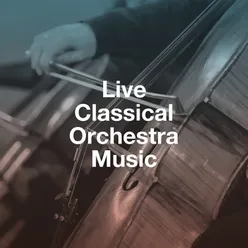 Live Classical Orchestra Music