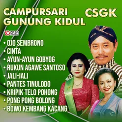 Campursari Gunung Kidul