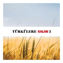 Türkülere Kalan, Vol. 3