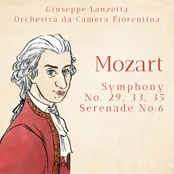 Symphony No. 33 in B-Flat Major, K. 319: II. Andante moderato