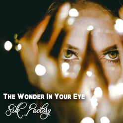 The Wonder In Your Eye-Original Mix