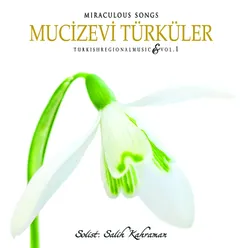 Mucizevi Türküler, Vol. 1