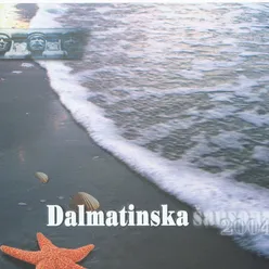 Dalmatinska šansona-šibenik 2004