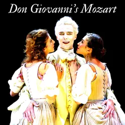 Don Giovanni, K. 527, Act II, Scene 24: "Non mi dir, bell'idol mio" (Donna Anna, Don Ottavio)