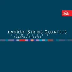 String Quartet No. 1 in A Major, Op. 2, B. 8: II. Andante affetuoso ed appassionato
