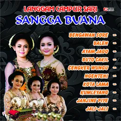 Bengawan Sore