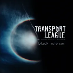 Black Hole Sun