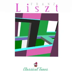 Liszt Piano Collection