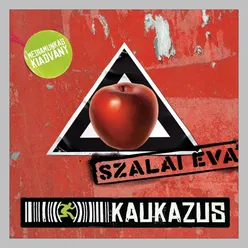 Szalai Éva-Médiamunkás kiadvány