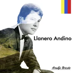 Llanero Andino