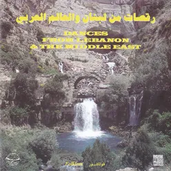 Rakset El Hawanem