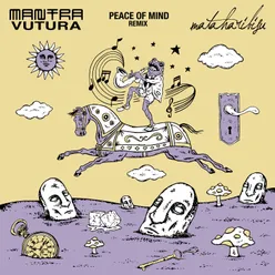 Peace of Mind-Remix