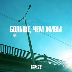 Больше, чем живы