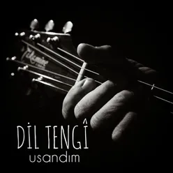 Usandım