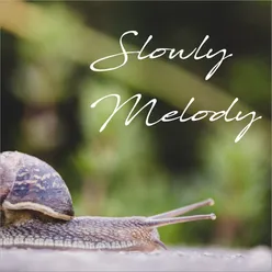 Slowly Melody