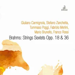 String Sextet No. 2 in G Major, Op. 36: II. Scherzo. Allegro non troppo