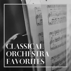 Serenade for String Orchestra in C Major, Op. 48, Th 48: II. Walzer