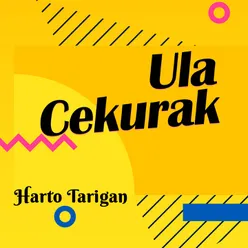 Ula Cekurak