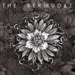 The Bermudaz