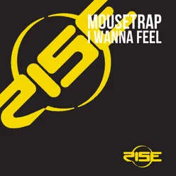I Wanna Feel-Nu-Funk Mix