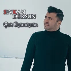 Çok Üşümüşsün