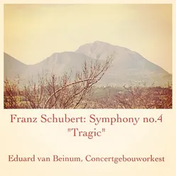 Symphony No. 4 in C Minor "Tragic", D 417: 4. Allegro