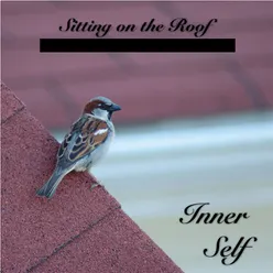 Sitting on the Roof - Brownian Noise Version - Mono Listening (Short)-Music for Better Relaxing