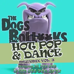 The Dogs BollXXks Hot Pop & Dance Megamix Vol. 3