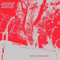 Eye of the Scared