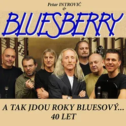 A tak jdou roky bluesový... 40 let-Live