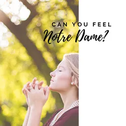 Can you feel Notre-Dame ?