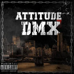 Attitüde DMX