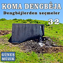 Dengbejlerden Seçmeler Vol. 32