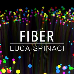 Fiber