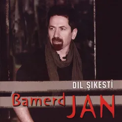 Dil Şikestî