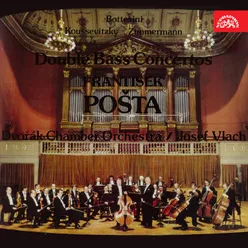 Concerto for Double Bass and Orchestra in F Minor: I. Allegro maestoso (att.)