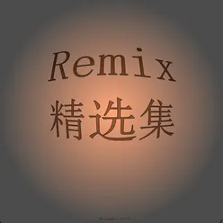 为什么爱上让我伤心的人(Remix版)