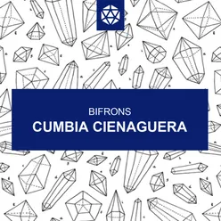 Cumbia Cienaguera-Radio Edit