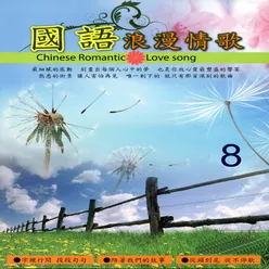 國語浪漫情歌08-Chinese Romantic Love Song