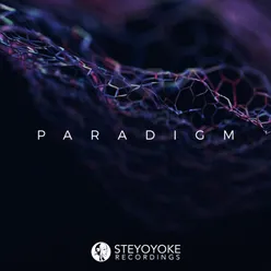 Steyoyoke Paradigm, Vol. 06