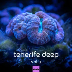Tenerife Deep, Vol.1