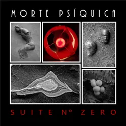 Suite Nº Zero