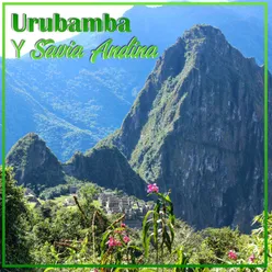 Urubamba y Savia Andina