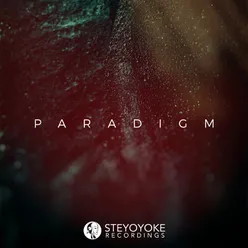 Steyoyoke Paradigm, Vol. 7