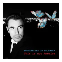 Butterflies in December